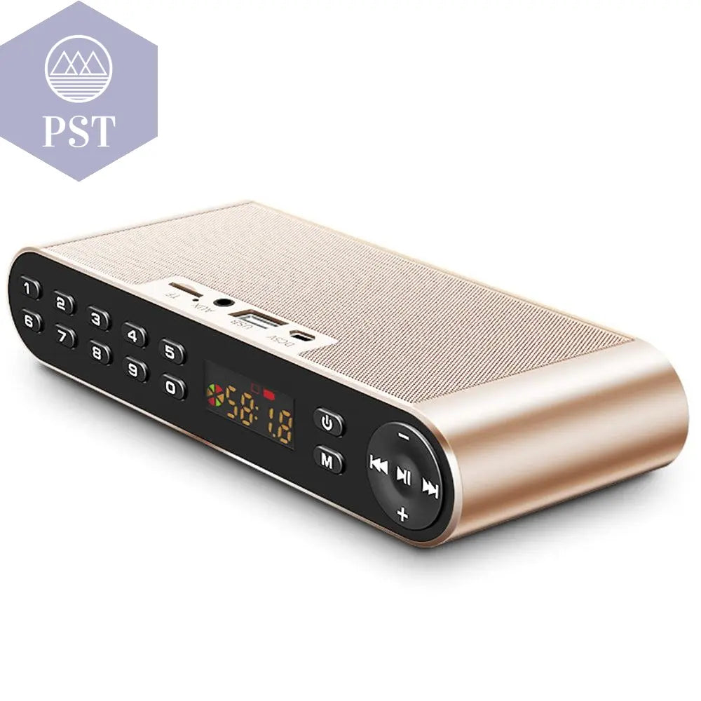 Portable Wireless HiFi Bluetooth Speaker with Microphone       PST PS Tradings